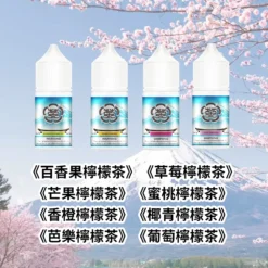 Mount Fuji 富士山煙油30ML/35MG｜果香冰爽高還原｜丁鹽煙油｜買五送一